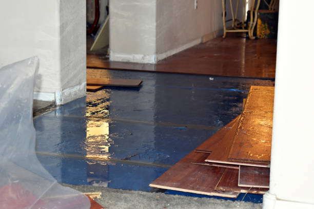 Professional Sewage Cleanup technician working in Baileyville, ME
